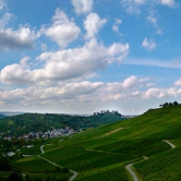 FjodorZarmutek_04Panorama